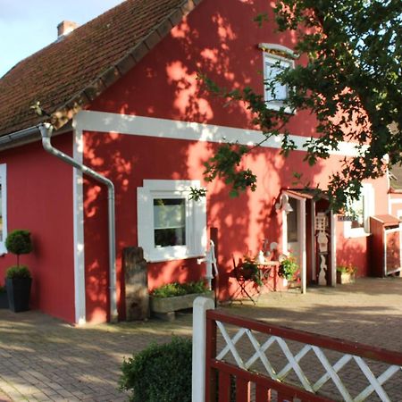 Ferienwohnung Zum Nordlicht Bassum ภายนอก รูปภาพ